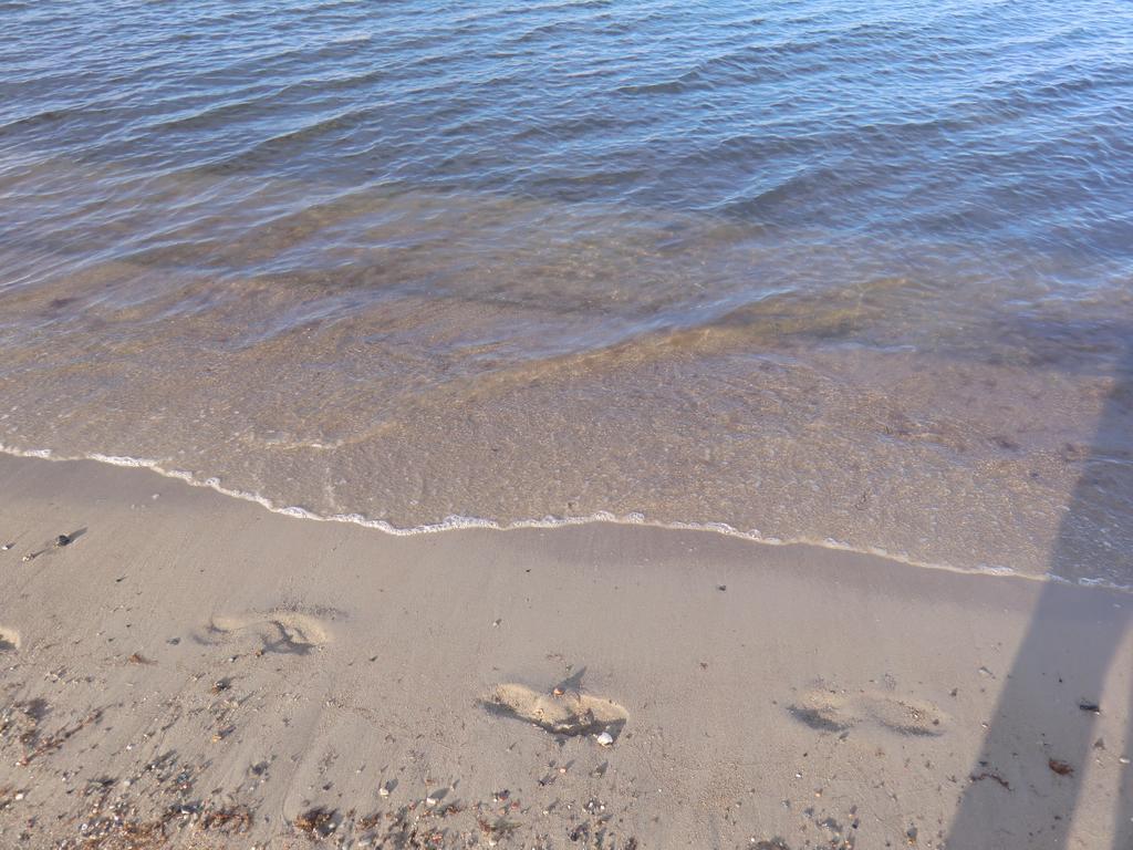 Boeltser Hus Ferienwohnungen Mit Strandkorb Und Kamin 10 Gehminuten Zum Kurtaxefreien Sandstrand Kraksdorf Extérieur photo